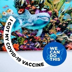 Meet your Posher, Caroline